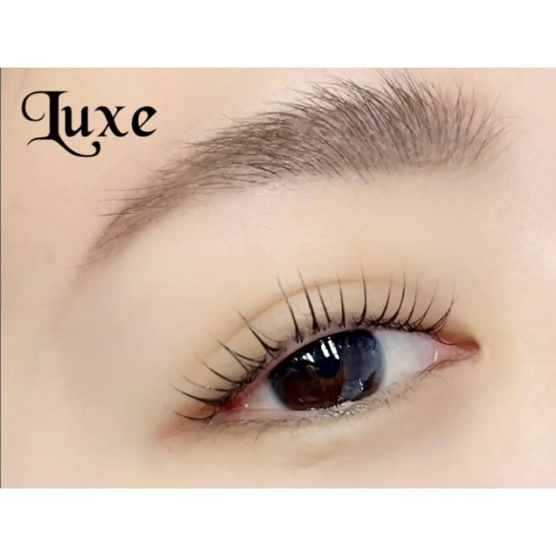 【リピーター様】🌸眉WAX脱毛1回+美眉スタイリング+TRまつげパーマ→¥10200の写真