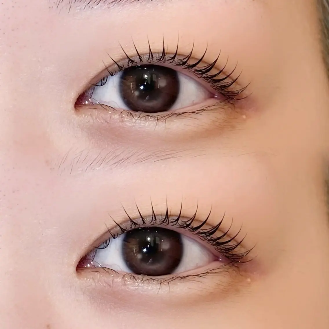 🎀上まつ毛パーマ🎀の写真