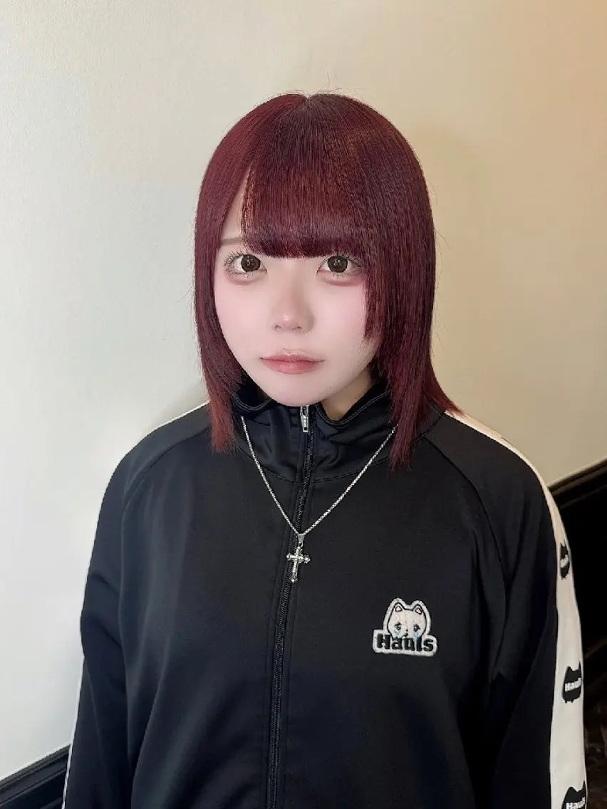 ワンカラーの写真