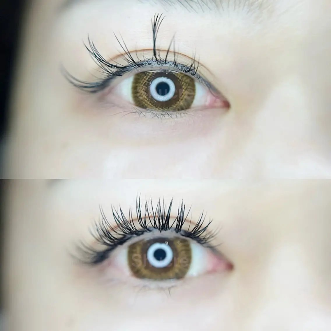 マツエク・マツパ フラットラッシュ eom eye 🍓MOEのマツエク・マツパデザイン