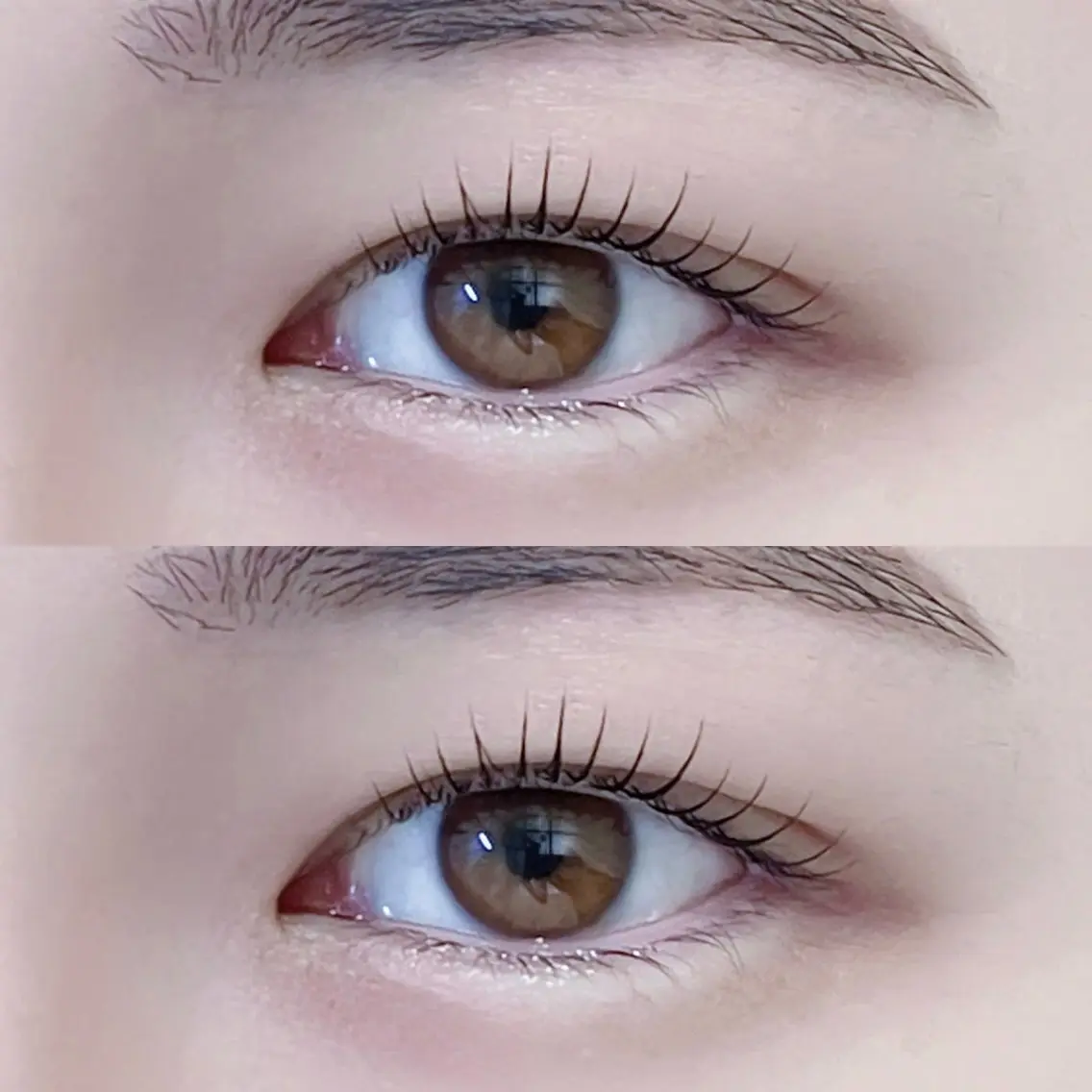 💎《美眉スタイリング[アイブロウ]＋まつげパーマ🪽》コーティング付で垢抜けEYE👀🤍✨【再来¥8,960】の写真