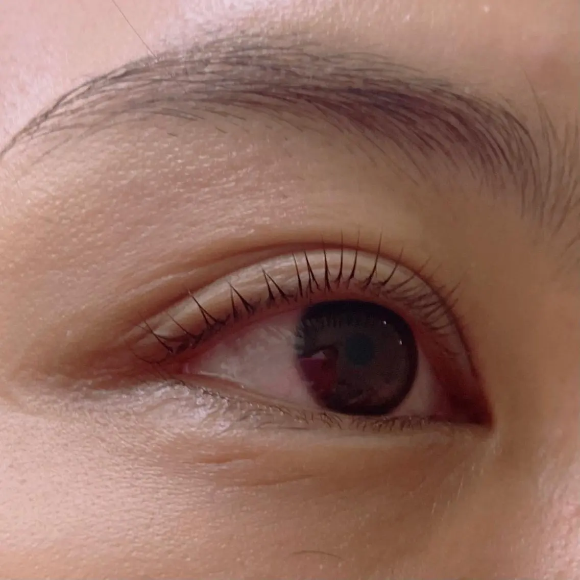 マツエク・マツパ パリジェンヌラッシュリフト 9LashTOKYO Tanabeのマツエク・マツパデザイン