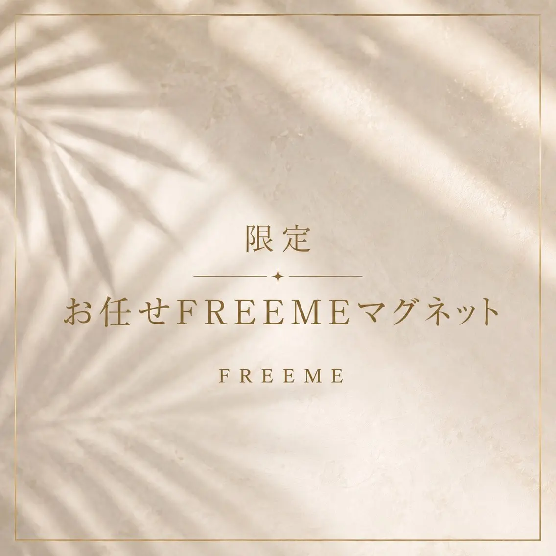 💎【限定モニター】FREEMEマグネットの写真