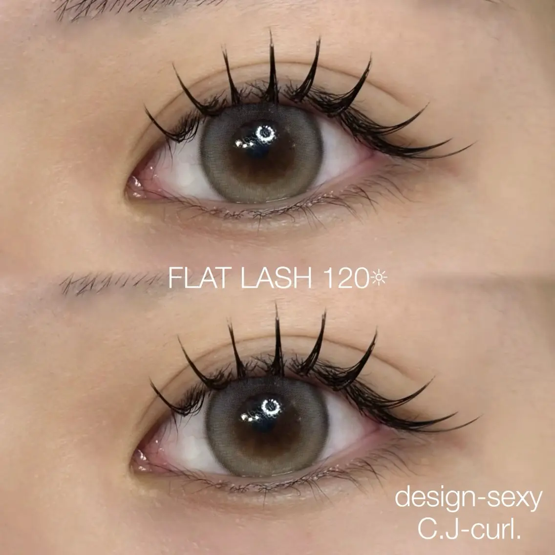 【ご新規様限定✨】🎀FLAT LASH (120本)+[アイシャンプー・束感コーティング付］🎀の写真