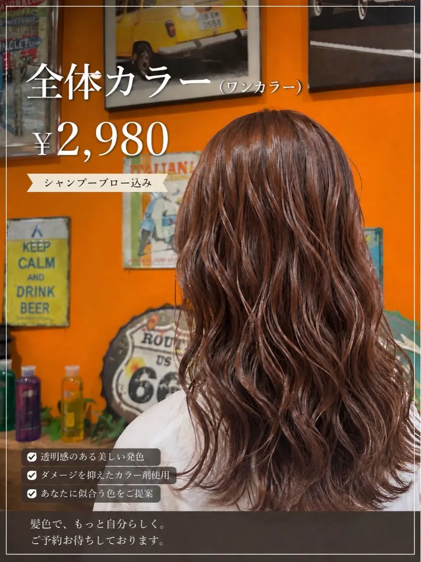 【🌈カラーモデル様限定】全体カラー¥2,980の写真