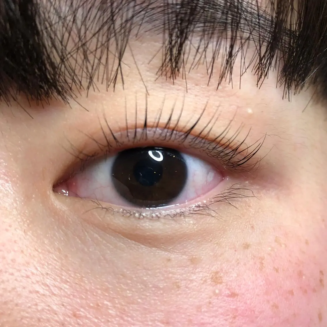 マツエク・マツパ パリジェンヌラッシュリフト Joie 梅田⸝⋆ Miyuのマツエク・マツパデザイン