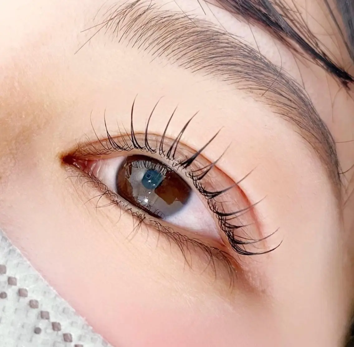 フラットラッシュ120本の写真