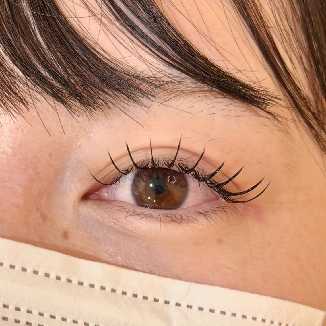 フラットラッシュ80～120本の写真
