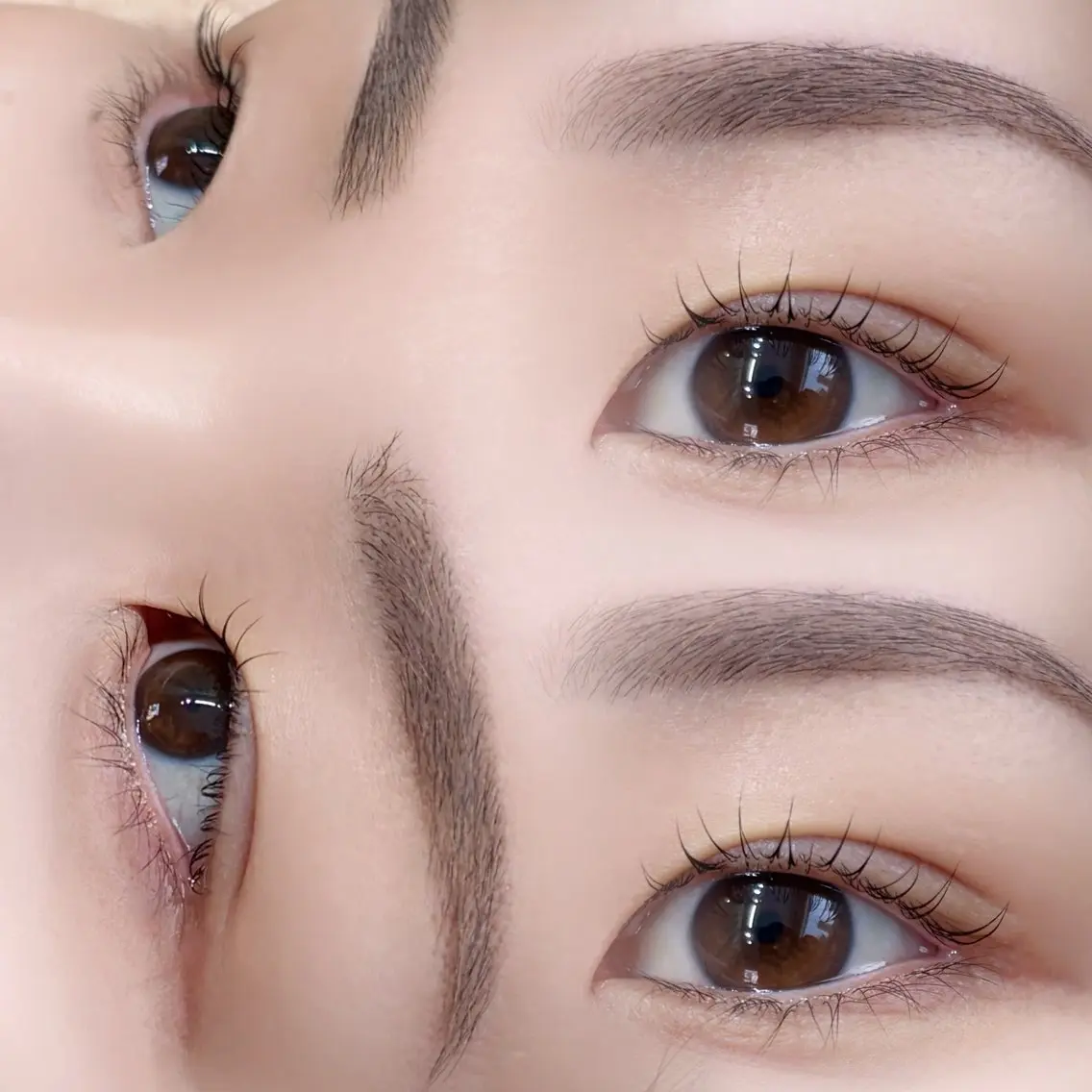 眉スタイリング×まつげパーマセットの写真