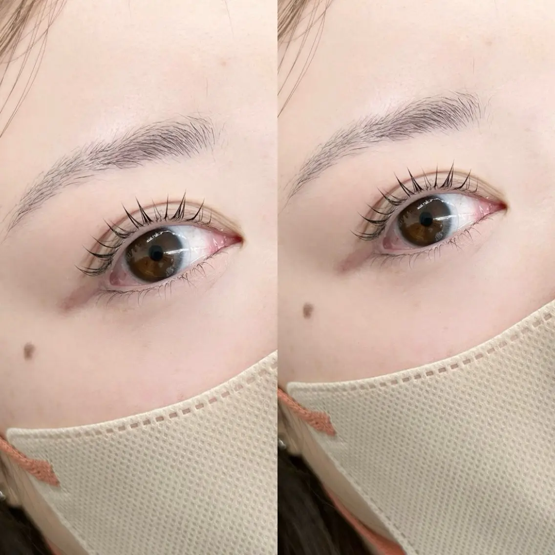 【人気No. 1】🥇ラッシュリフト(上のみ)🥇トリートメント仕上げ✨ 笹塚/マツパ/韓国風/束間の写真