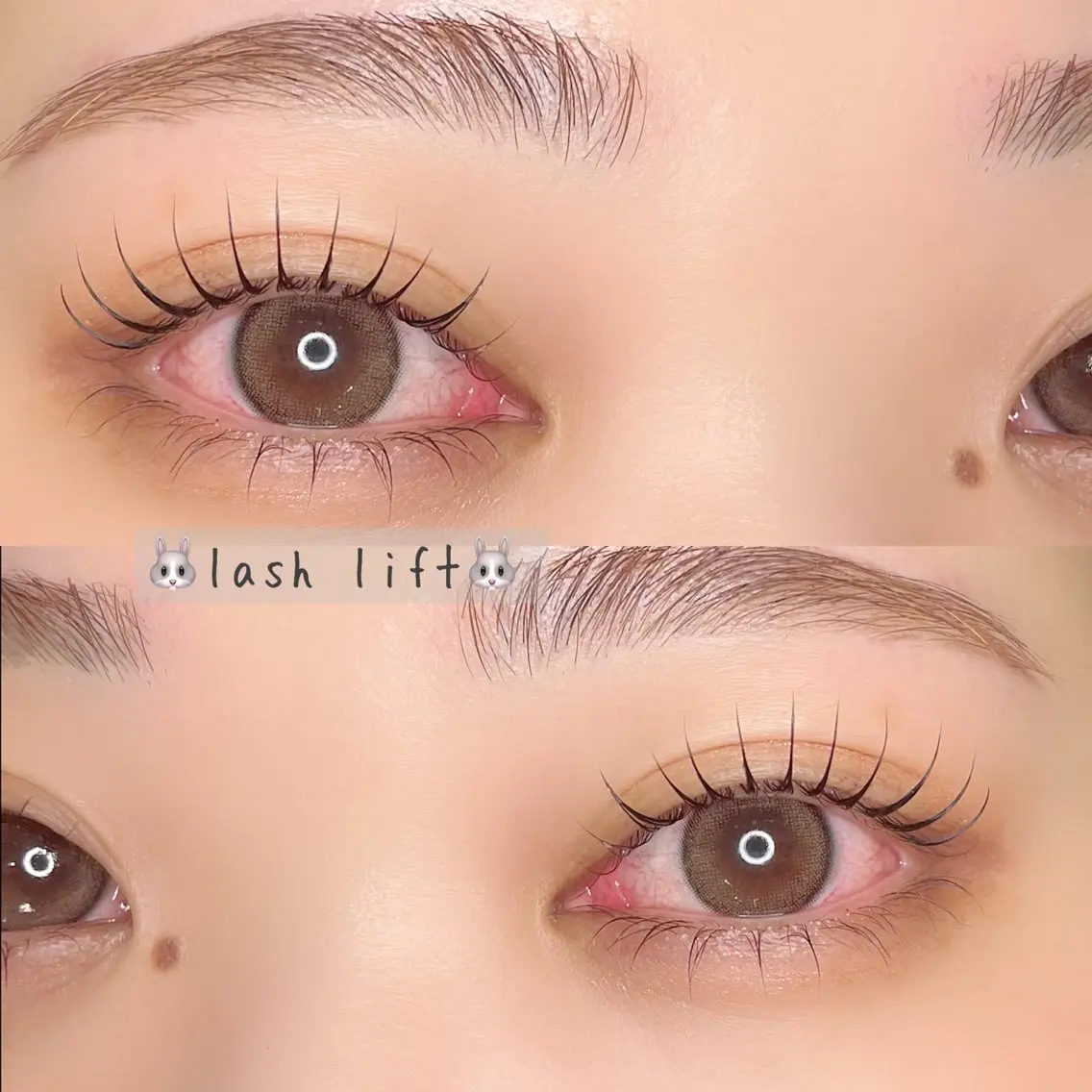 《当日来店限定》🌟ラッシュリフト/パリジェンヌ➕treatment🌟束感コーティング仕上げの写真