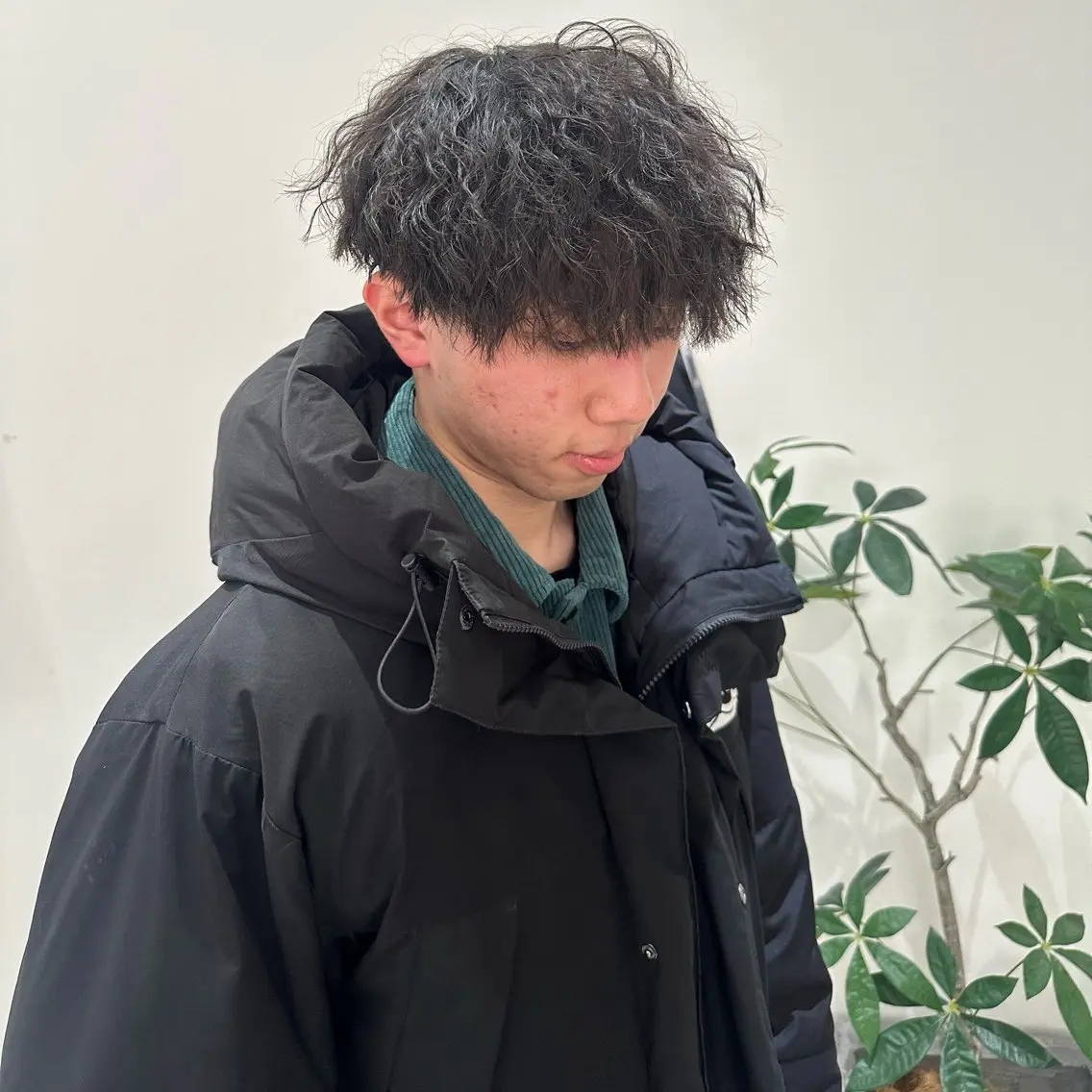 パーマ メンズ マッシュ メンズパーマ 福田 れん/個室 ReFa認定サロンのヘアスタイル