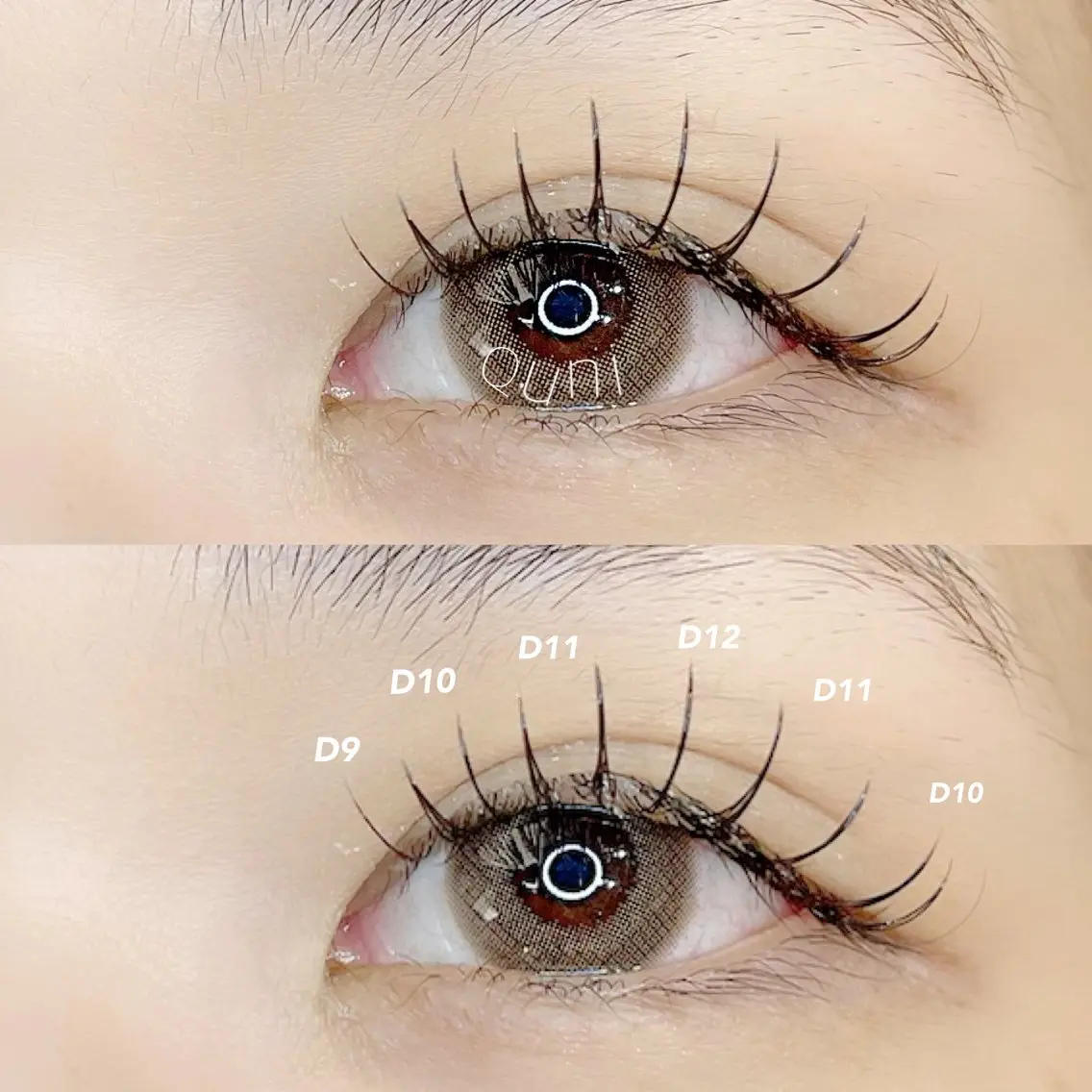 初回限定 flatlush 100本の写真