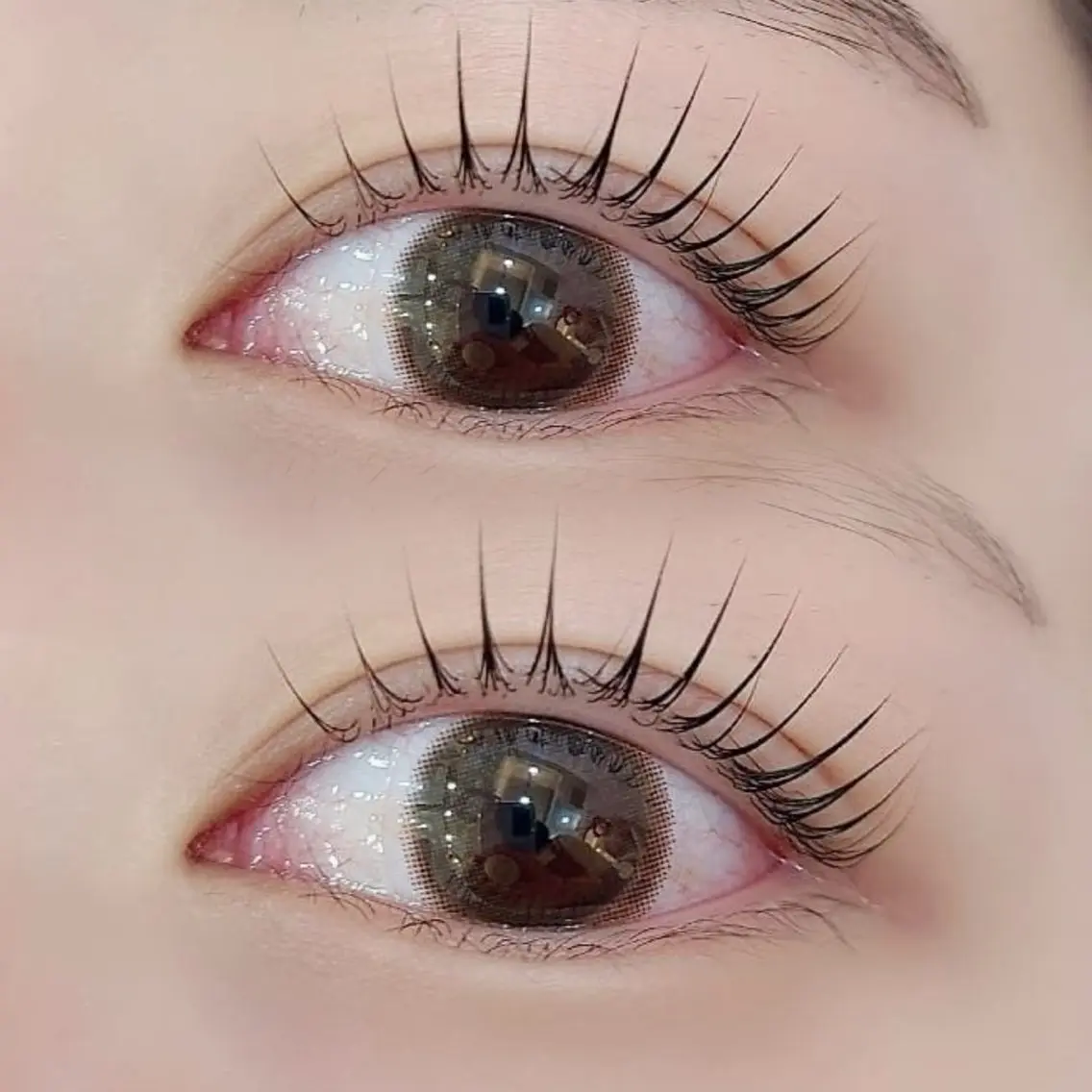 【ミニモ限定】🧸まつ毛パーマ＋保湿コーティング付き୨୧⋆*の写真