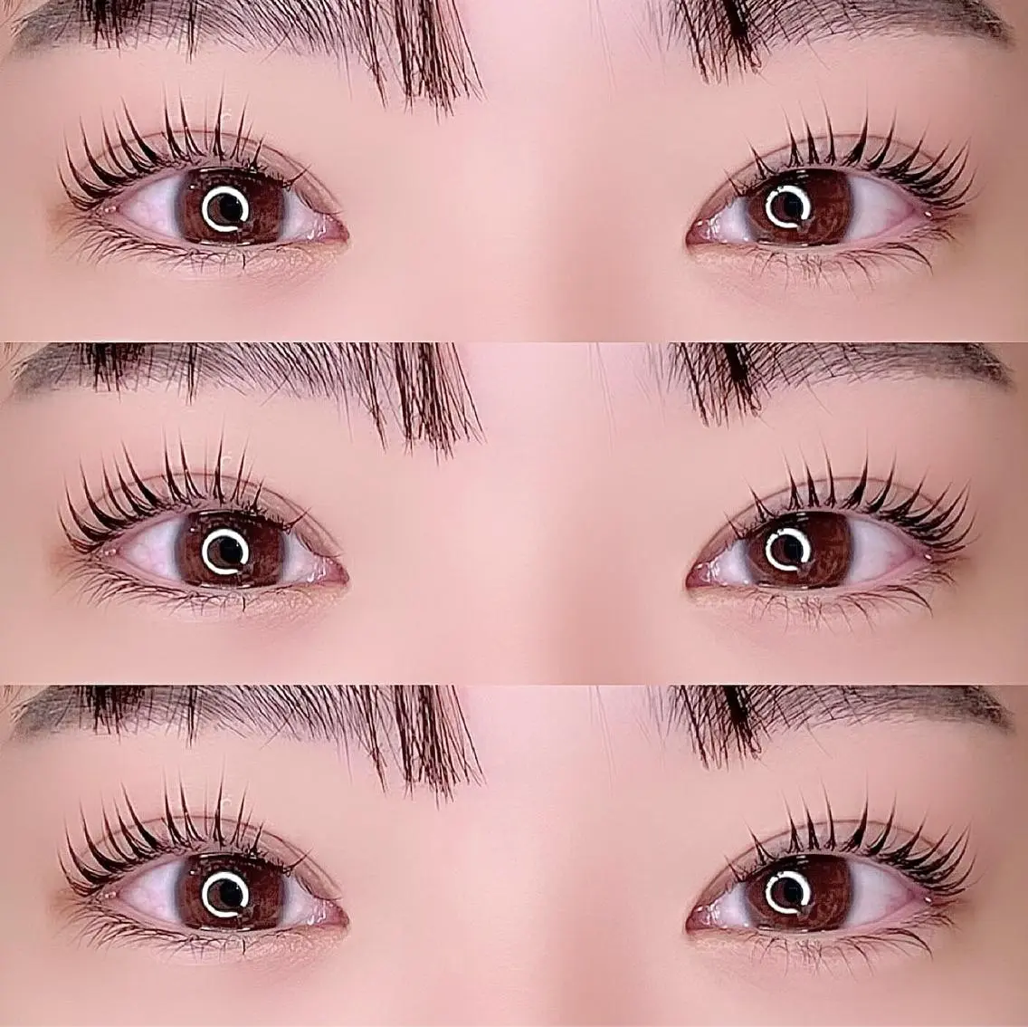 マツエク・マツパ 韓国風マツエク パリジェンヌラッシュリフト まつげパーマ 一重×まつ毛パーマ 🦋Miu:Be田町 まつパ:マツエク🦋のマツエク・マツパデザイン