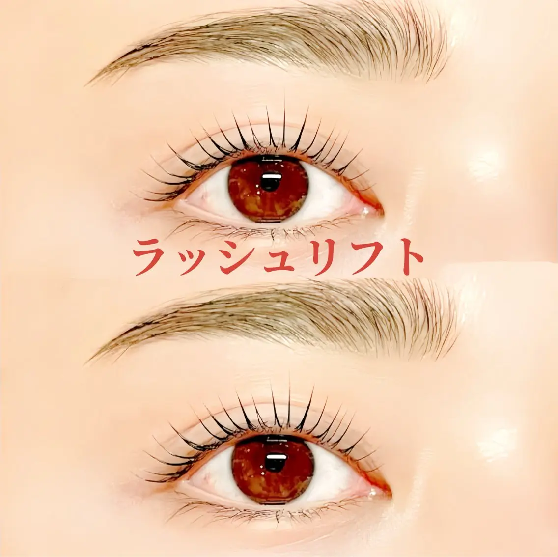 【まつげ&眉毛SET🍒】カールデザイン似合わせまつげパーマ上×美眉デザイン(眉毛Wax間引き毛量調整付)の写真