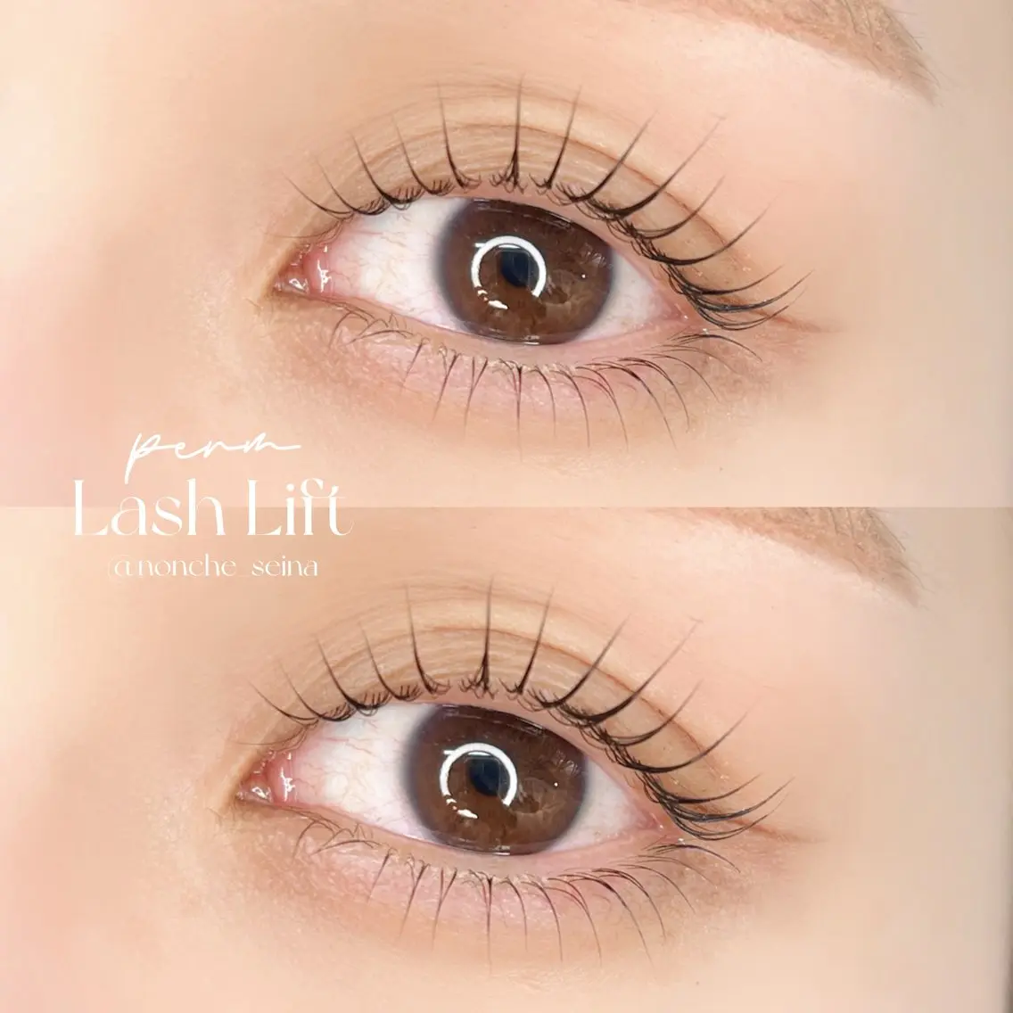 マツエク・マツパ マツエク AO. eyelashのマツエク・マツパデザイン