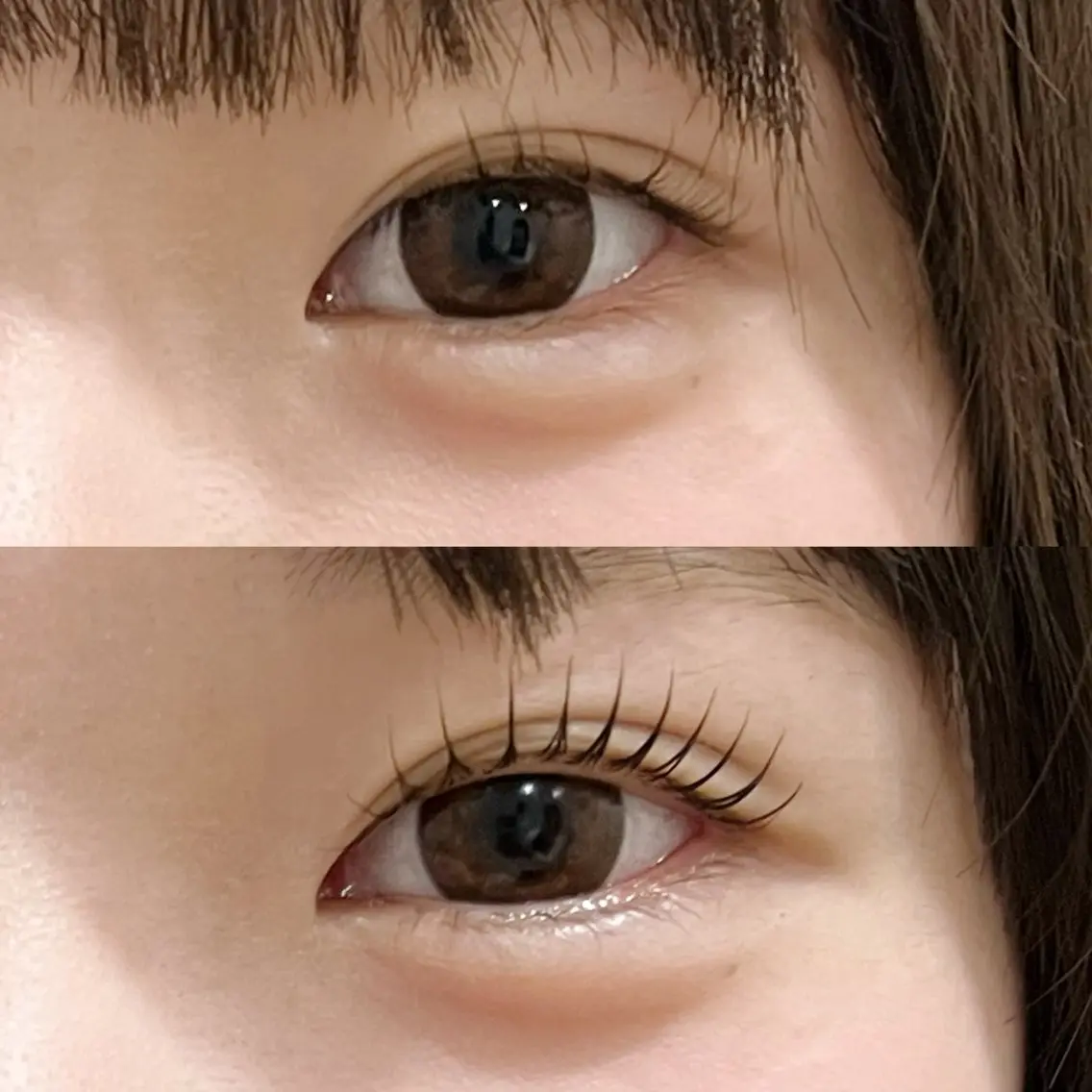 【初回限定🩶】下のみまつ毛パーマ (トリートメント&コーディング付)の写真