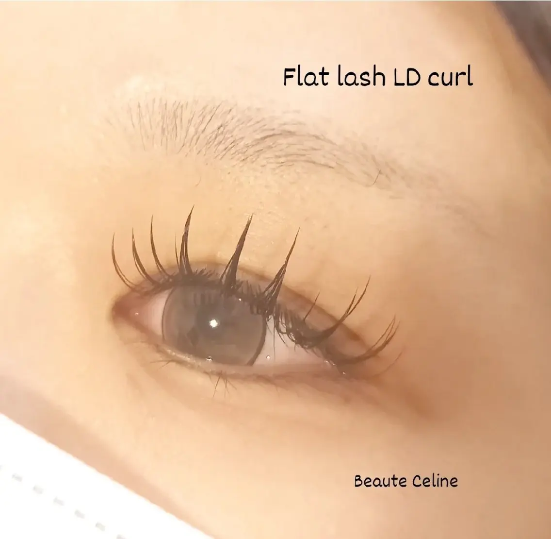 マツエク・マツパ Dカール マツエク LED✨beaute Celine🌛🌹のマツエク・マツパデザイン