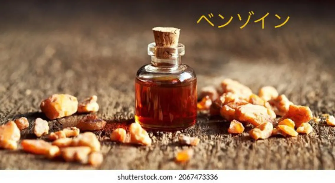 オーナーセラピスト オリーブ🌿miuのエステ・リラクイメージ