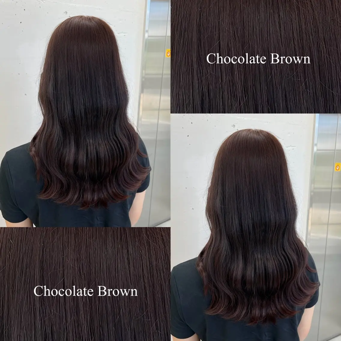 セミロング カラー ブラウンカラー ショコラブラウン チョコレートブラウン ダークブラウン カット ヘアカラー 🍊あすか🍊 JILLSTUDIOのヘアスタイル