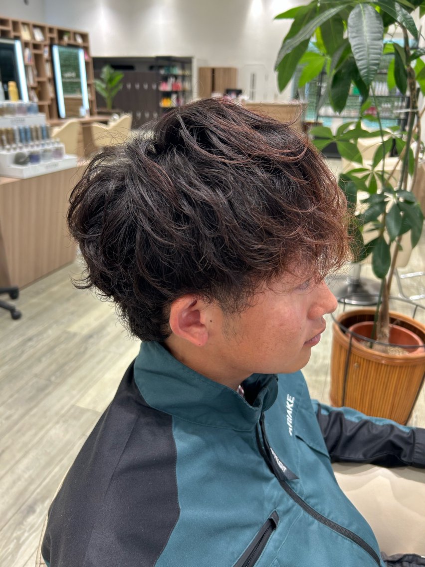 パーマ メンズ 髙沢 蓮のヘアスタイル