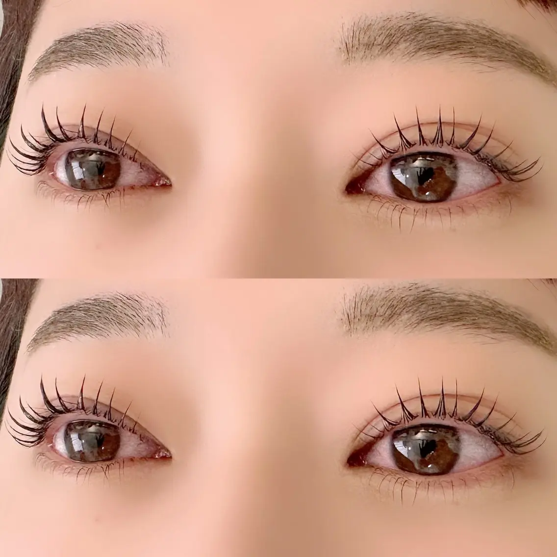 ご新規様限定//❤️上下ラッシュリフト(まつげパーマ)の写真