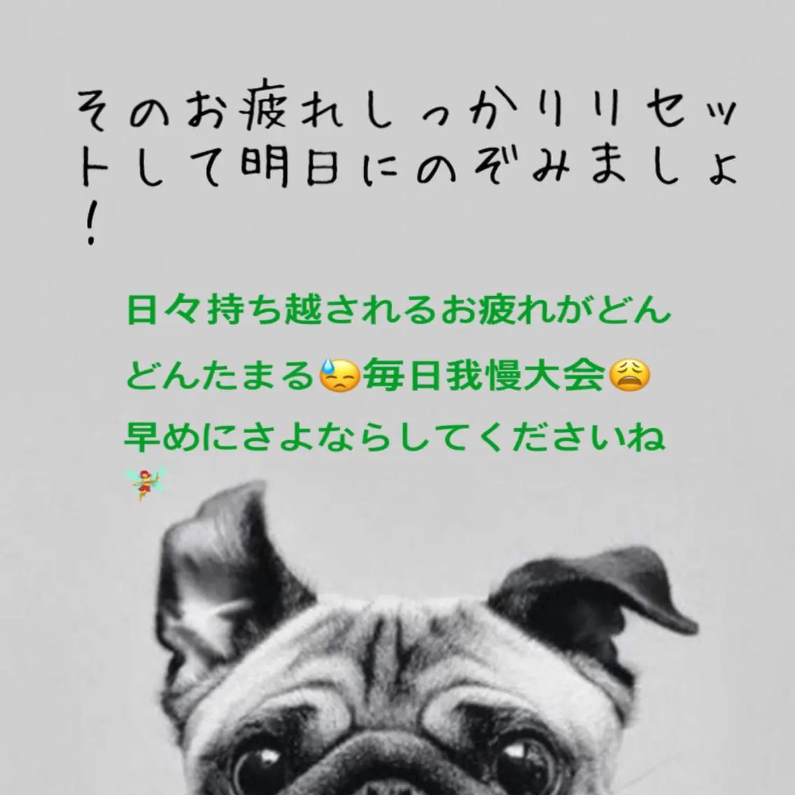 メンズ キッズ 石井 猶子のエステ・リラクイメージ