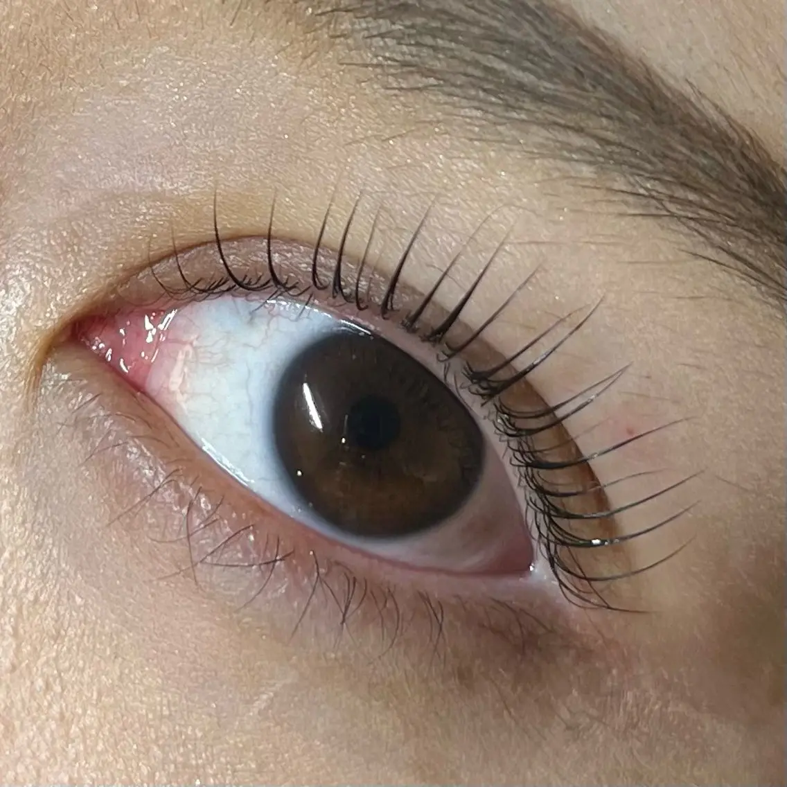 マツエク・マツパ 一重×まつ毛パーマ マツパ IRIS🫧 Ayaのマツエク・マツパデザイン