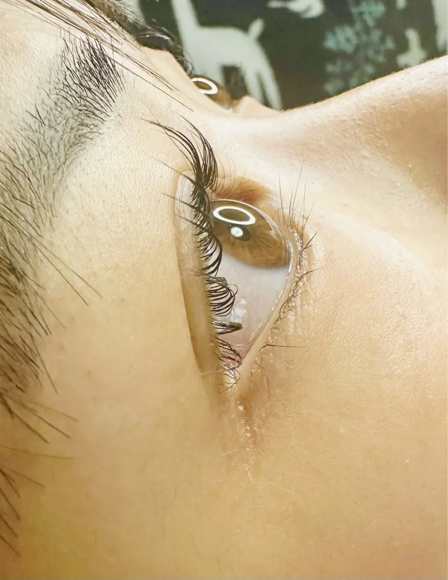 学生限定※まつげパーマ（上のみ）の写真