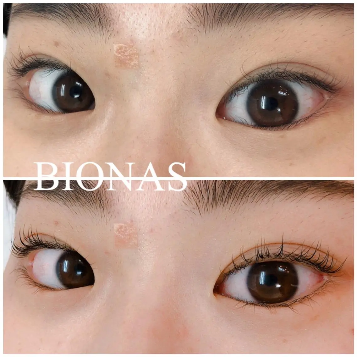 マツエク・マツパ まつげパーマ 下まつげエクステ BIONAS 【ビオナス】の眉毛・アイブロウイメージ