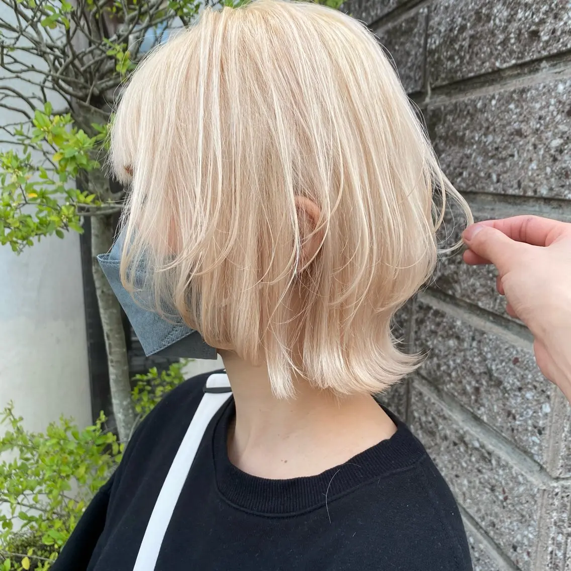 ショート カラー ベージュカラー ブリーチ ブロンド ホワイトベージュ TOMOYA/ ショート、レイヤーのヘアスタイル