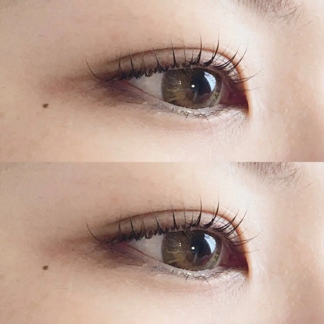 ニューヨーク発祥✨️TRケア付きまつげパーマ👀の写真