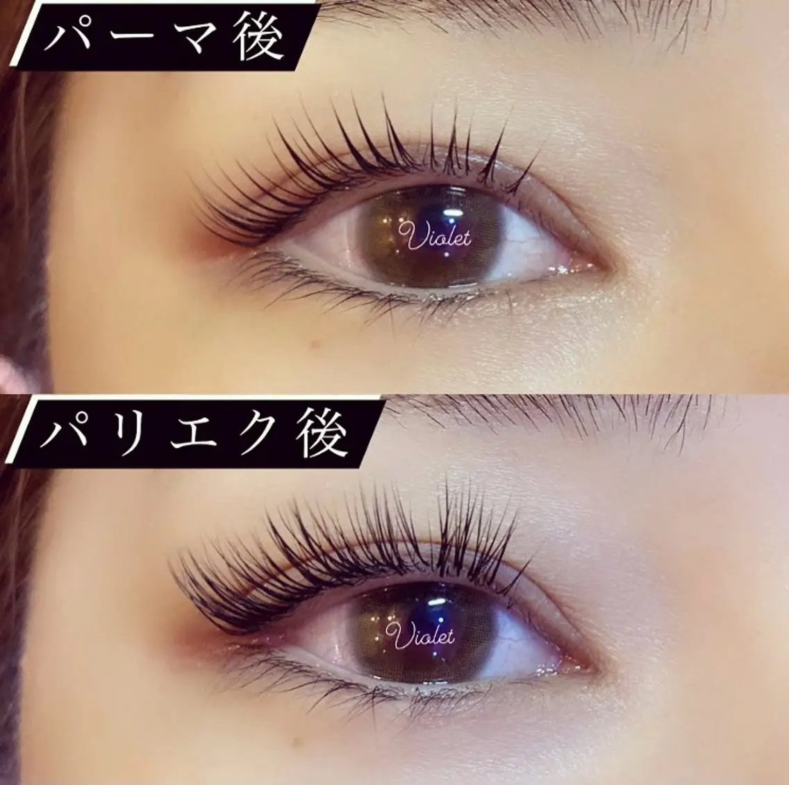 マツエク・マツパ 【Violet】 ERIKA🪽のマツエク・マツパデザイン