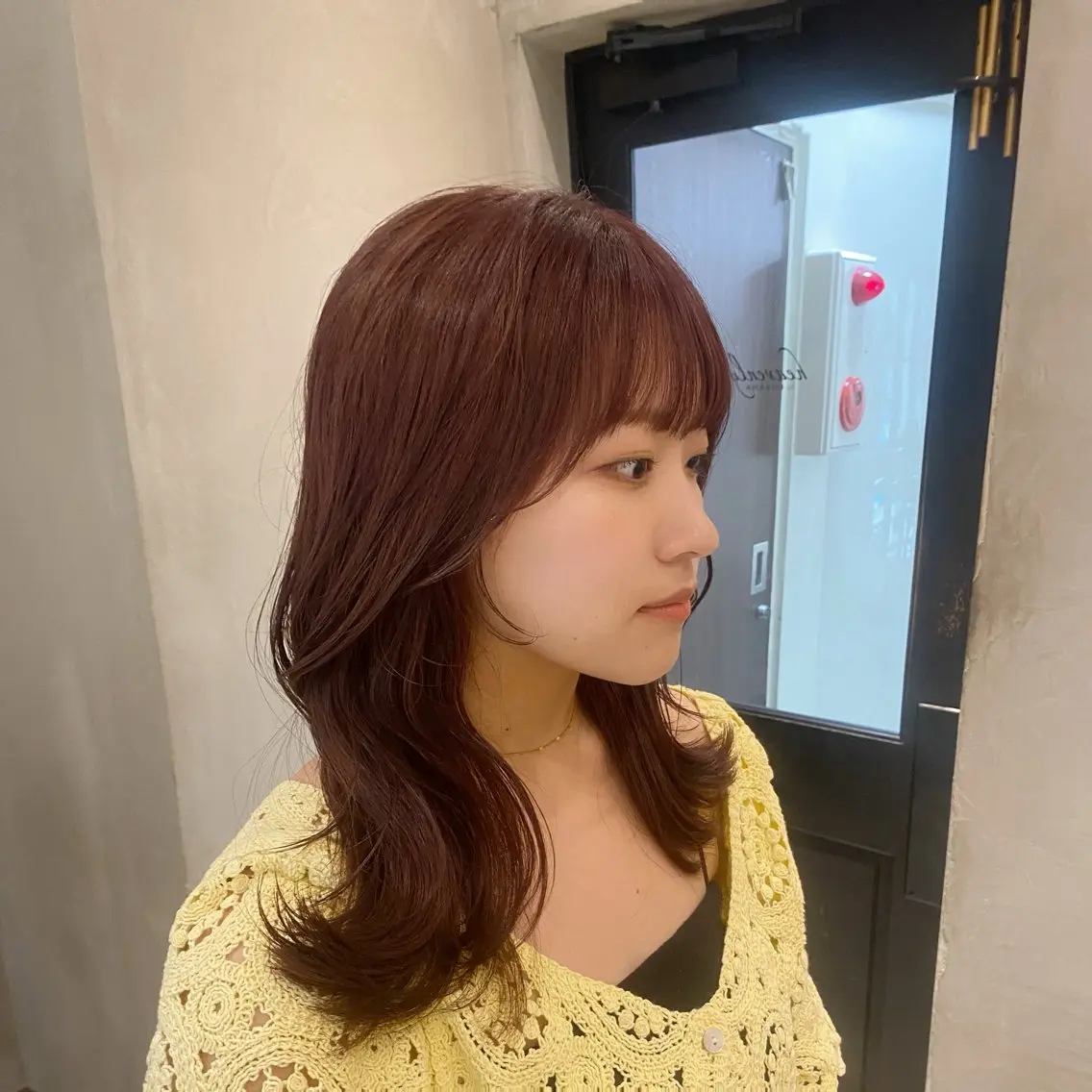 セミロング カット ヘアカラー トリートメント 新宿/顔周りカット +レイヤー＝しずく♩のヘアスタイル