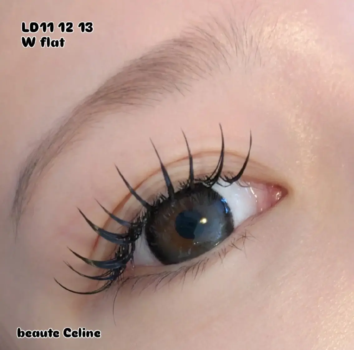 マツエク・マツパ Dカール マツエク LED✨beaute Celine🌛🌹のマツエク・マツパデザイン