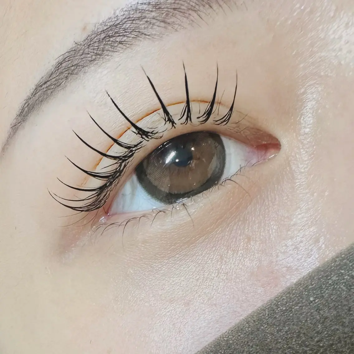 フラットラッシュ120本の写真