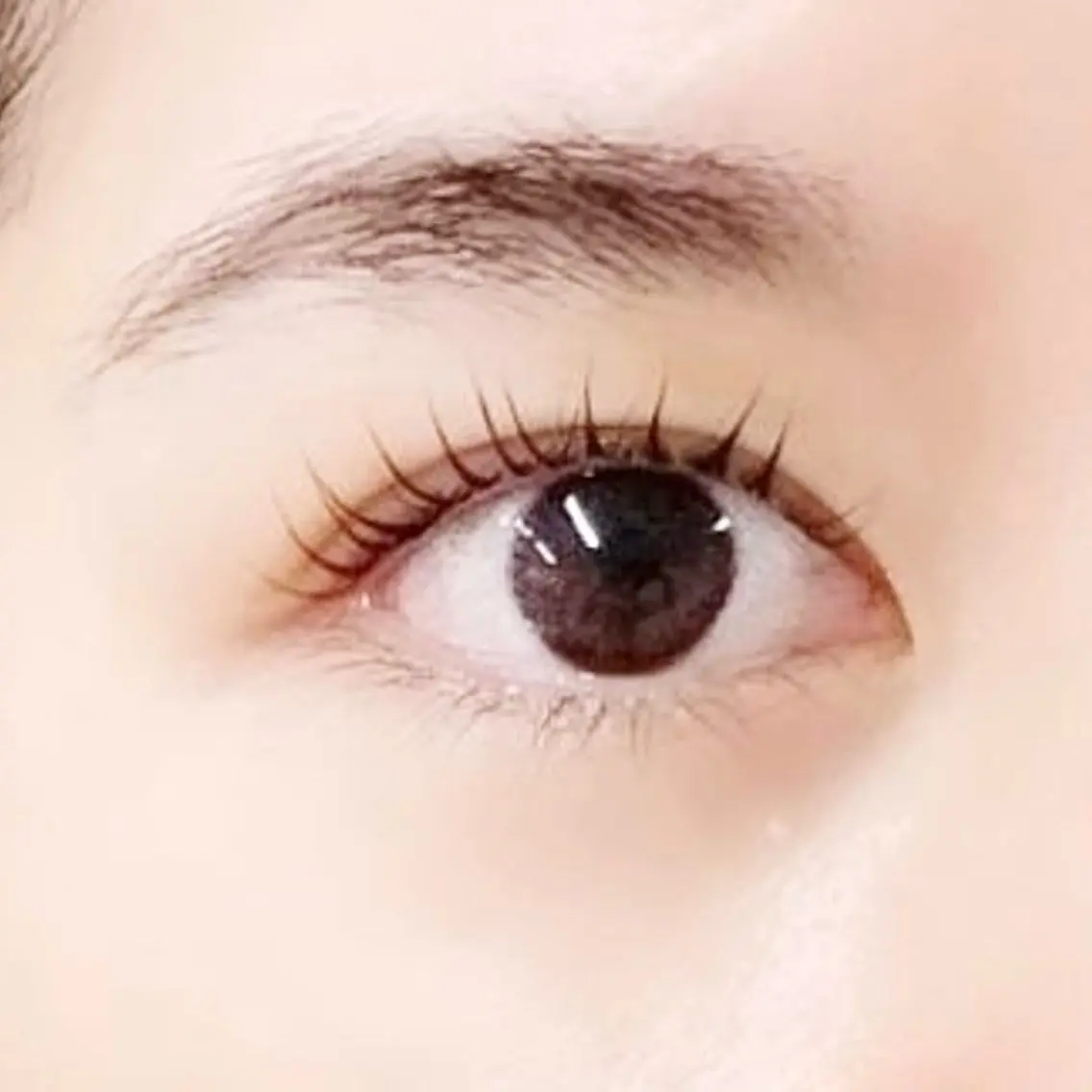 マツエク・マツパ 𝑅𝐼𝐼 ♡の眉毛・アイブロウイメージ