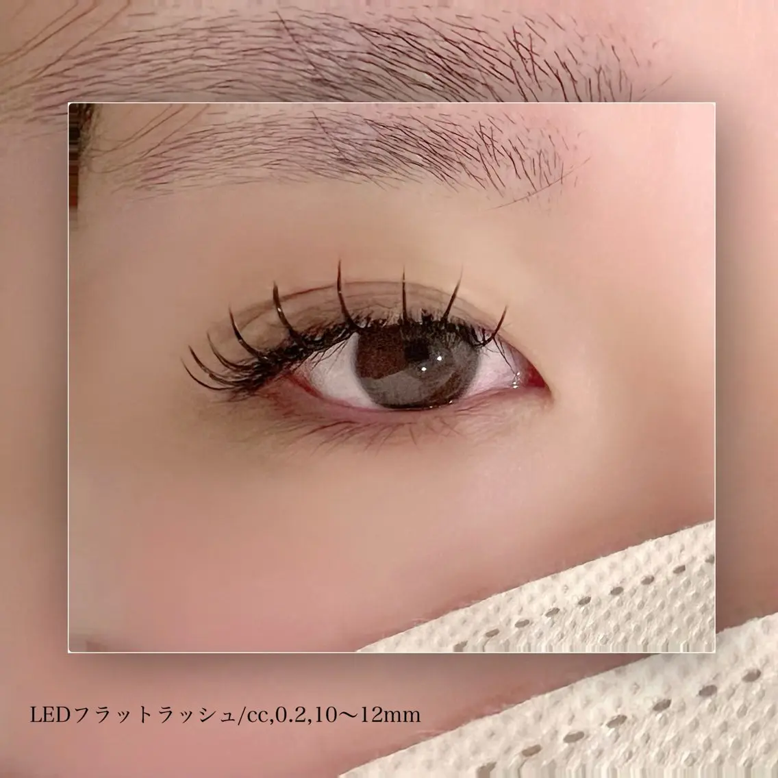 マツエク・マツパ ナチュラル マツエク omii salon 草津店:yurinaのマツエク・マツパデザイン