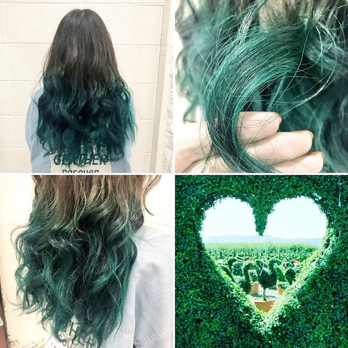 ロング カラー アッシュ アッシュグレー グラデーションカラー ヘアカラー トリートメント ✨️眉毛、派手髪、 ハイトーンShinの眉毛・アイブロウイメージ