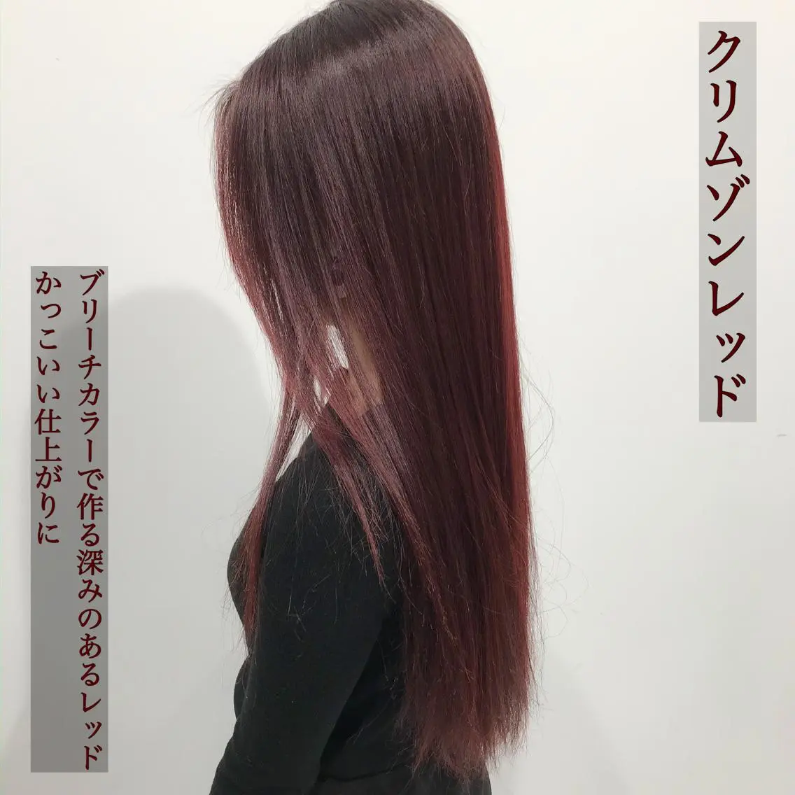 ロング カラー ヘアアレンジ レッドカラー 特別モデル価格 タカシマイッセイのヘアスタイル