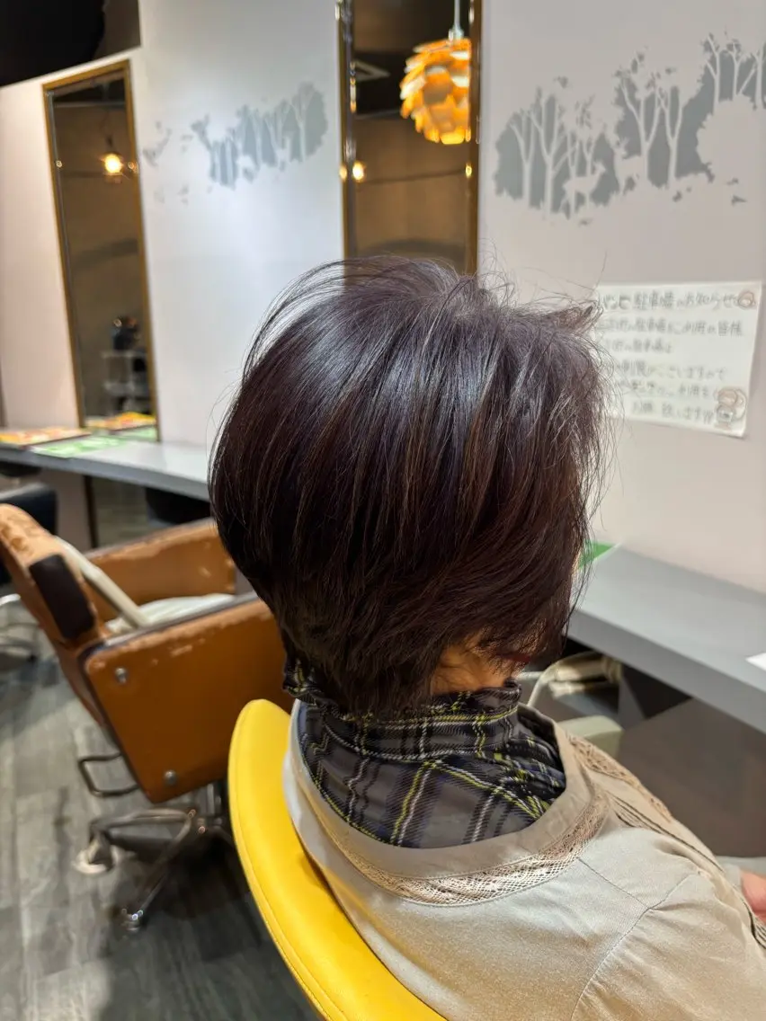 ショート レイヤーカット 杉山 晃太のヘアスタイル