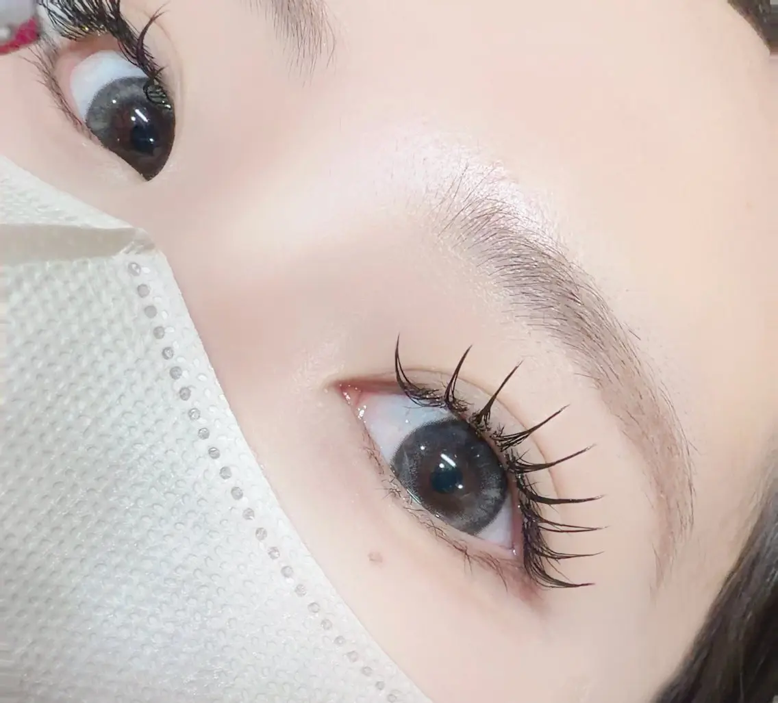 ♡LEDグルーフラットラッシュ♡ 【¥5500】(目安100-120本)の写真