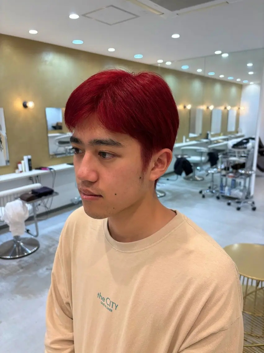 ショート ヘアカラー 加賀谷 乙葉のヘアスタイル