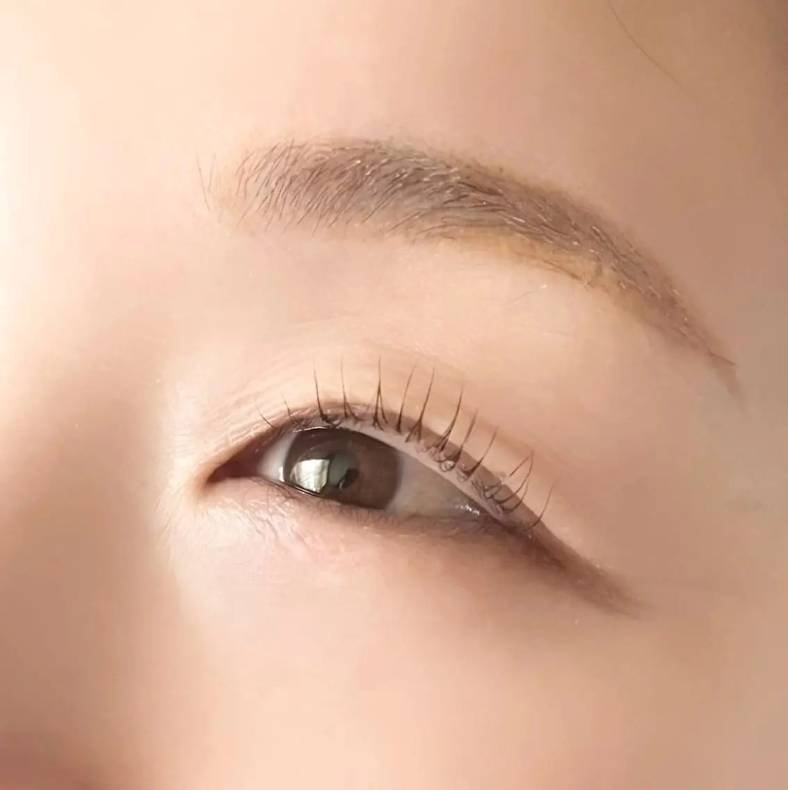 アイブロウ 眉毛ワックス脱毛 ワックス脱毛 その他(アイブロウ) トレンド眉✨ meiの眉毛・アイブロウイメージ