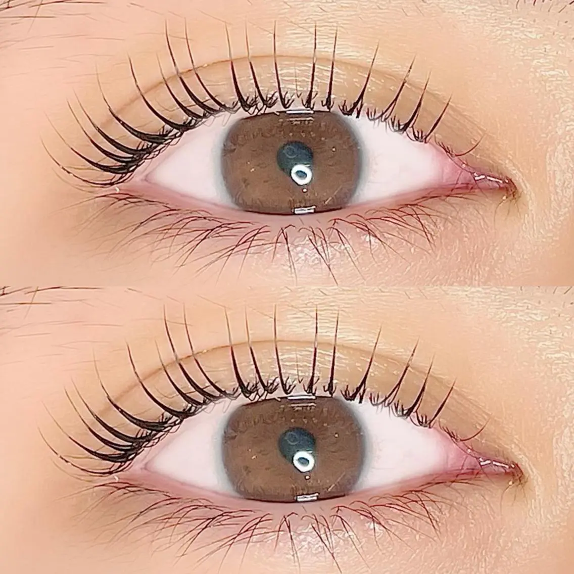 マツエク・マツパ マツパ AYLASH🧡 猪又のマツエク・マツパデザイン