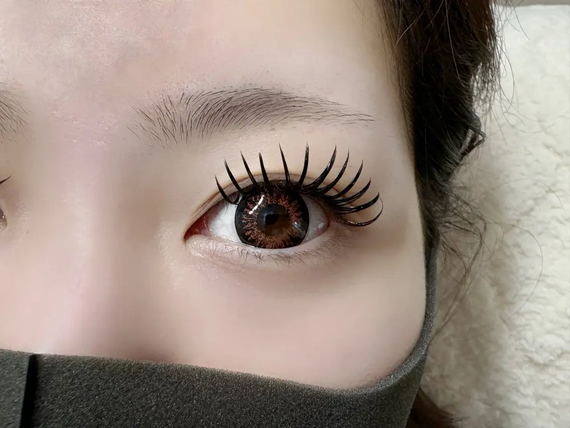 【オフ込コーティング仕上げ付き】ダブルフラットラッシュ100束🌷の写真