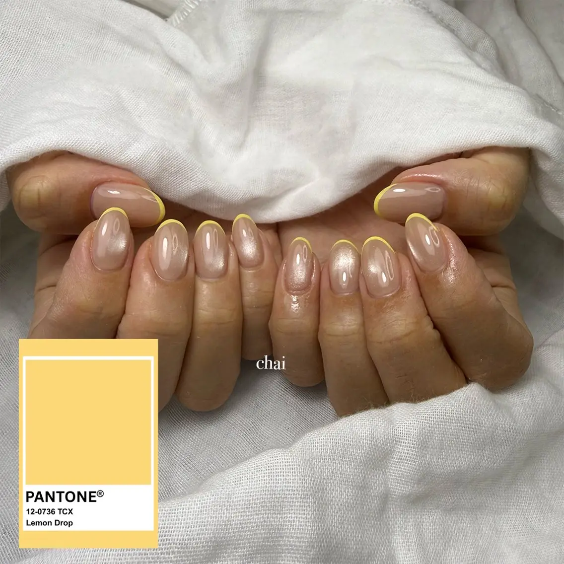 ネイル クリアネイル フレンチネイル マグネットネイル シンプルネイル ハンドネイル chai nail + eye📍鶴橋のネイルデザイン