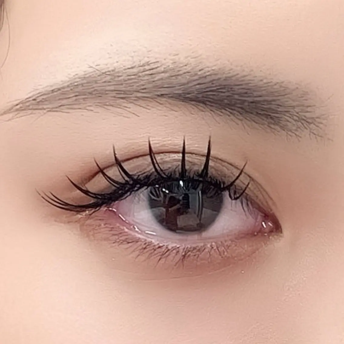 細毛さん向け🪽ダブルフラットラッシュ 80束〜の写真