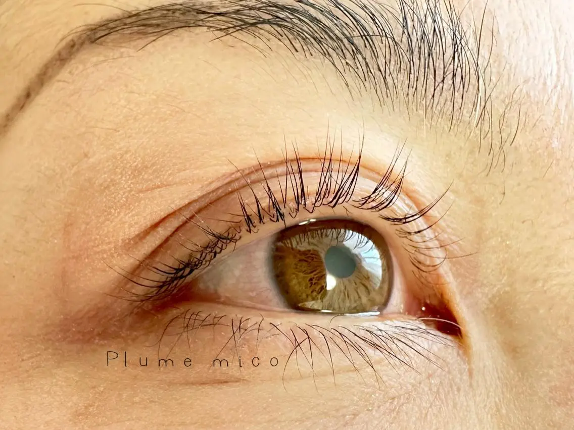 マツエク・マツパ マツパ Plume micoのマツエク・マツパデザイン